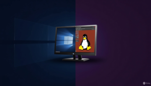 Windows+Linux